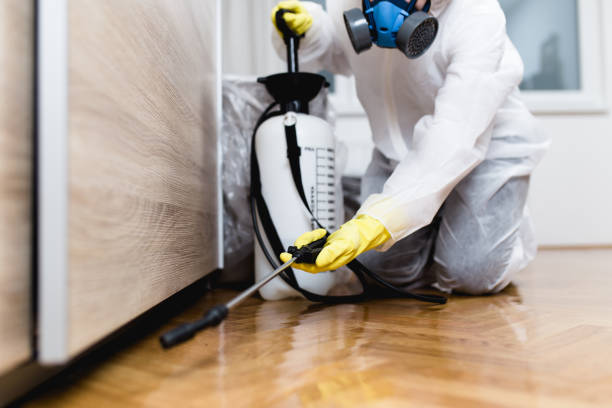 Best Best Pest Control Companies  in Fairlea, WV