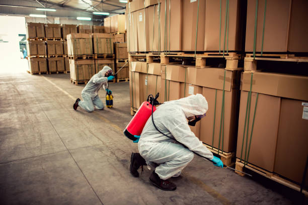 Best Pest Removal Services  in Fairlea, WV