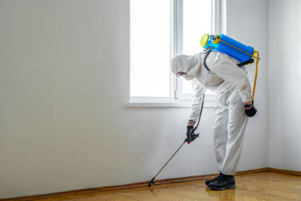 Best Pest Inspection Near Me  in Fairlea, WV