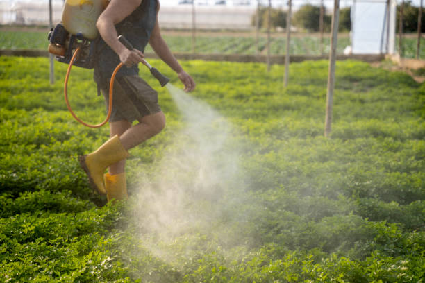 Best Commercial Pest Control Services  in Fairlea, WV