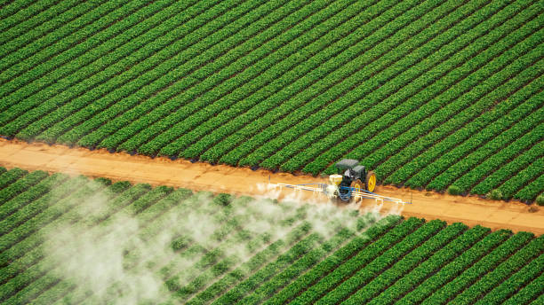 Best Pest Removal Services  in Fairlea, WV