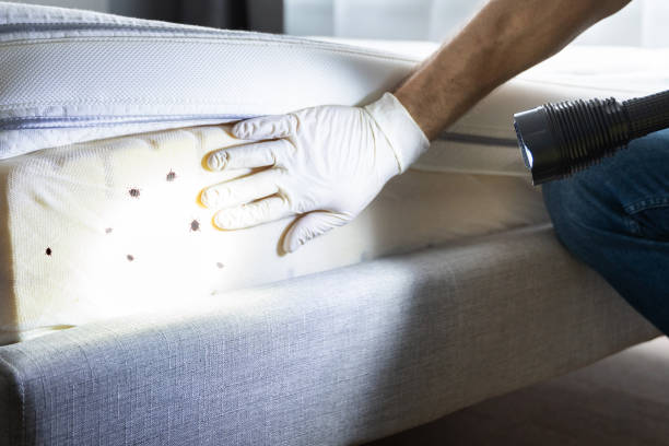 Best Residential Pest Control  in Fairlea, WV