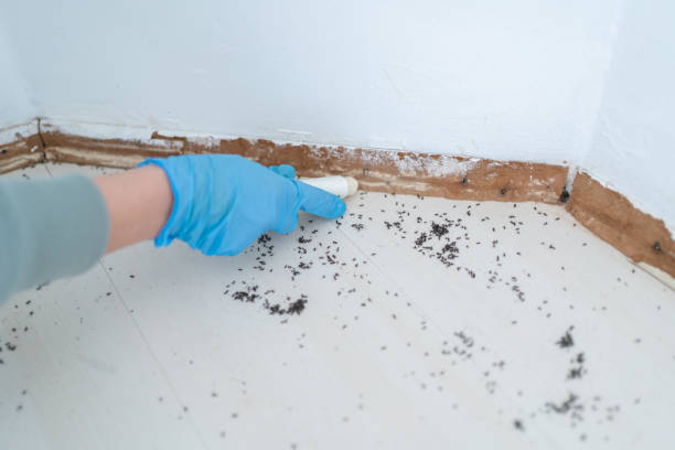 Best Pest Inspection Near Me  in Fairlea, WV